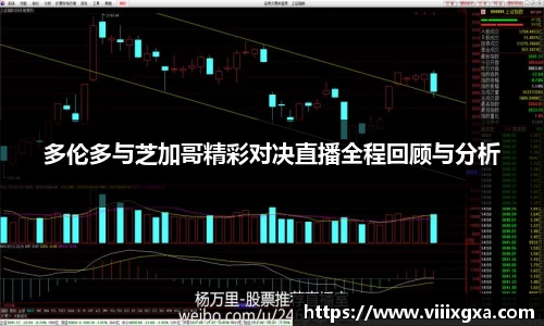 多伦多与芝加哥精彩对决直播全程回顾与分析