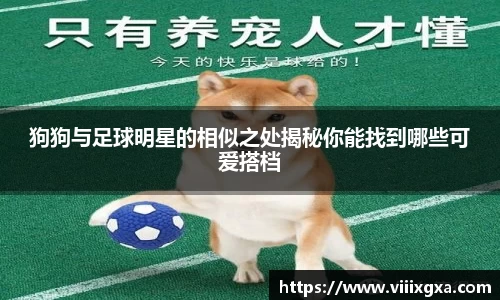 星空·综合体育中国官网