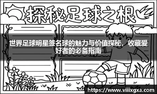 星空·综合体育中国官网